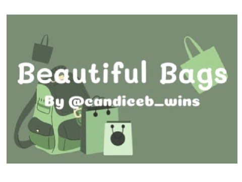 beautiful bags