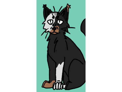 I Have Too Many Ocs