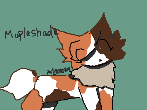.:Mapleshade Fanart:.