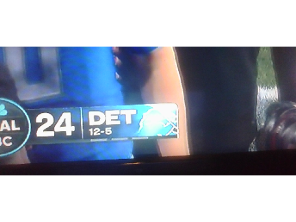 THE DETROIT LIONS WON!!!
