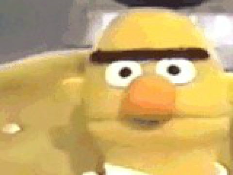 Bert... He has found the answer....