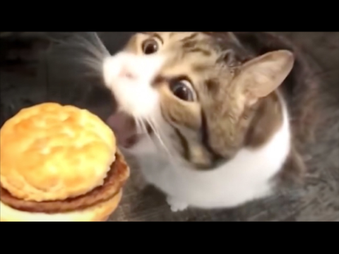 AAAAAAAAAAAAAAAAAAAAAAAAAAAAAAAAAAAAAAAAAAAAAAAAAAAAAAAAAAAAAAAAAAAA 2