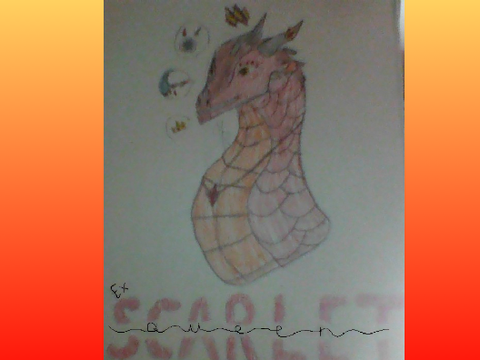 wof drawing contest! entry