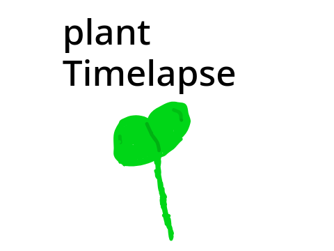 plant timelapse 