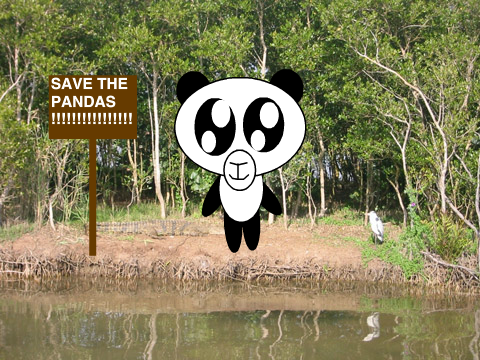 Save the pandas!