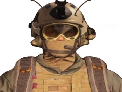 roach