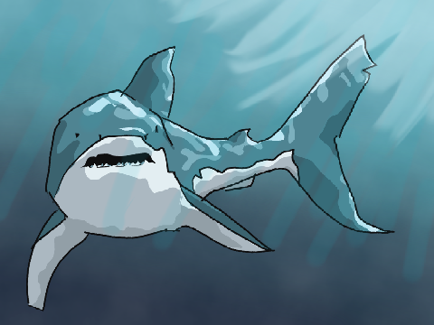 hm shark