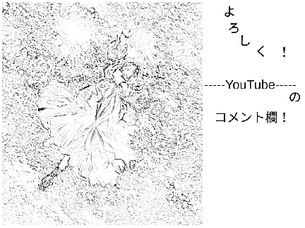 コメント欄