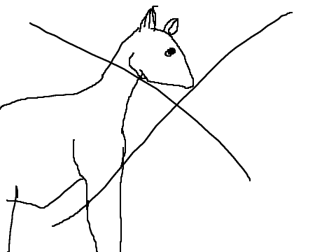 An Attempt at Drawing Horses