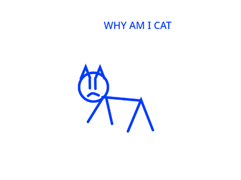 WHY AM I A CAT