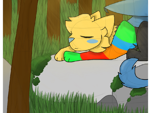 Three Year Redraw