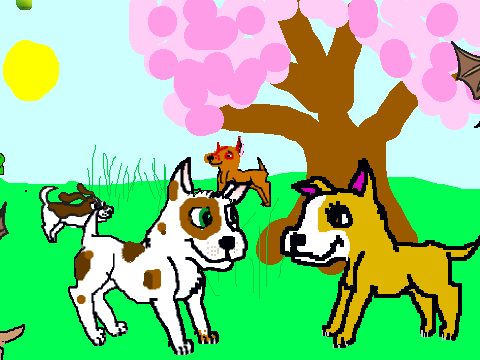 2 dogs at a park