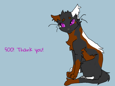 500+ followers!