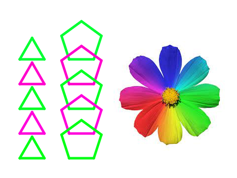 shape garden???