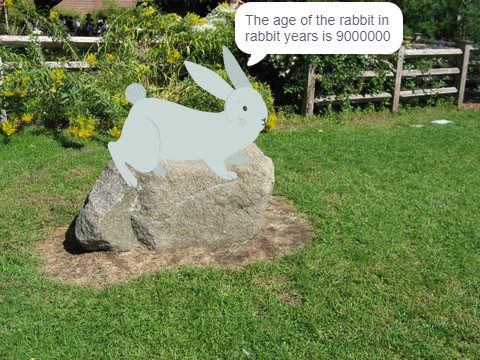 Rabbit Age calculator