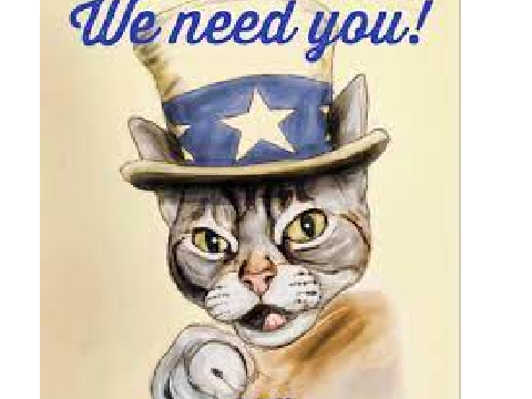 Help Kit!