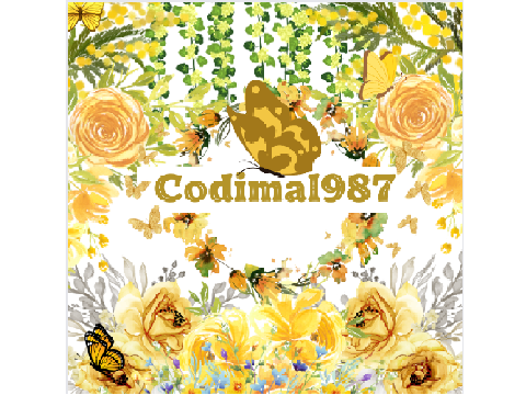 ONLY FOR @Codimal987