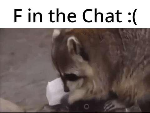 Raccoon's Cotton Candy Dissolves
