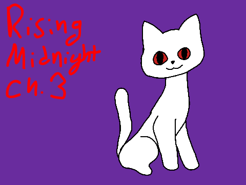 Chapter 3 ~ Rising Midnight 