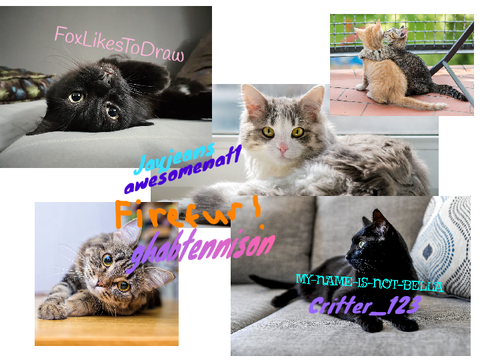 Sign if you love cats!!