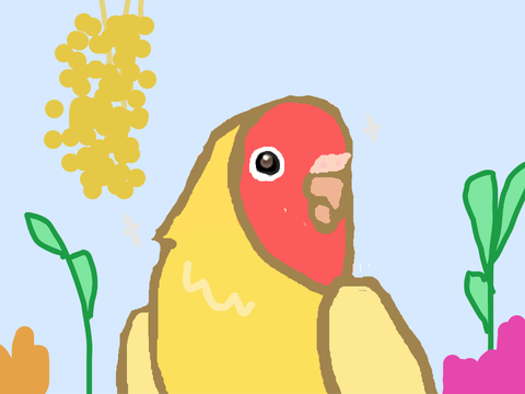 Birb Art :D