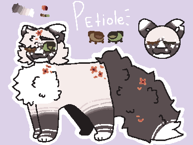 petiole / / official reference . ⊹