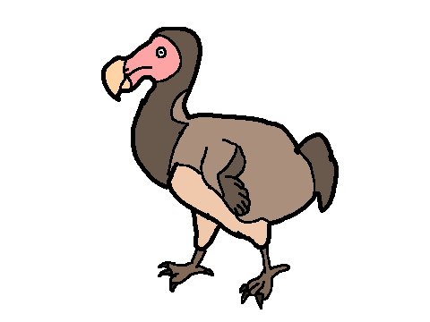 CHICKEN DODO