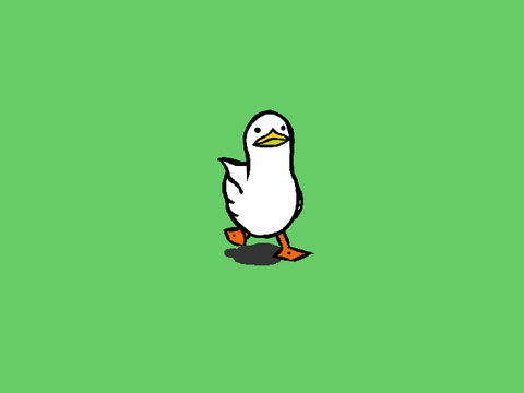 duck 