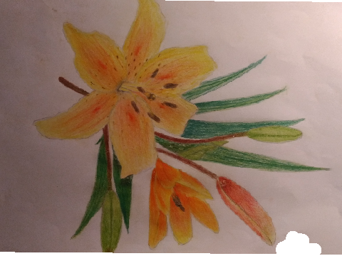 Yellow flower
