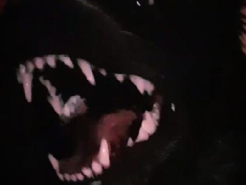 ⛧