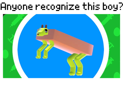 W O B B L Y. D O G S. 