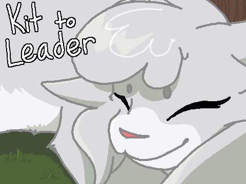 Warrior cats: Kit to Leader
