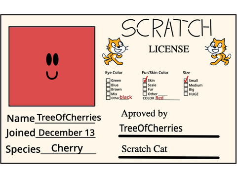 Scratch License
