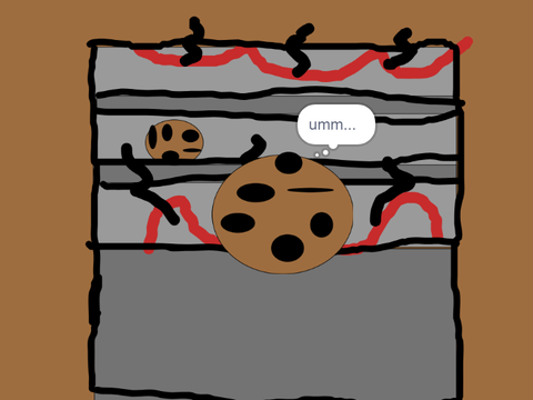 idk