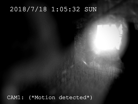 Teaser 3: Motion detected