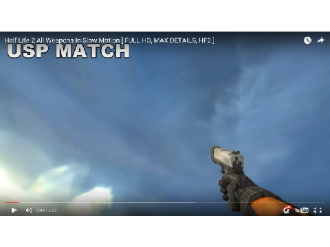 hl2 usp match