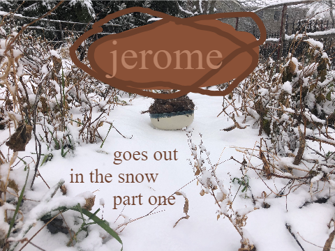 Jerome goes out in the snow (pt 1)