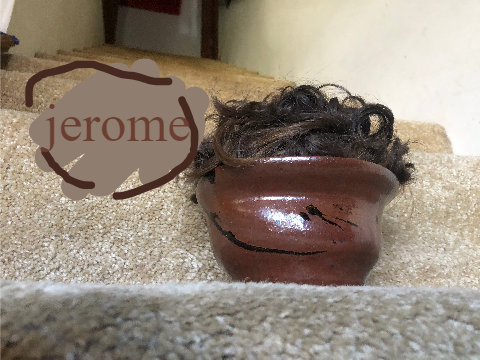Jerome: Insider Perspective