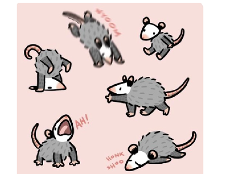 Possum.