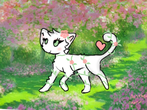 DTAE 