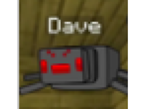 Spider dave