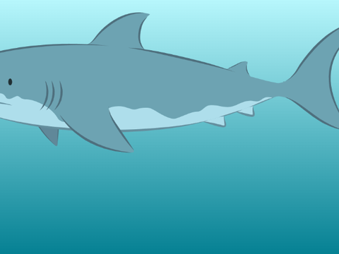 Sea life
