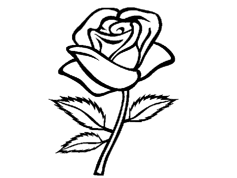 Coloring contest #3