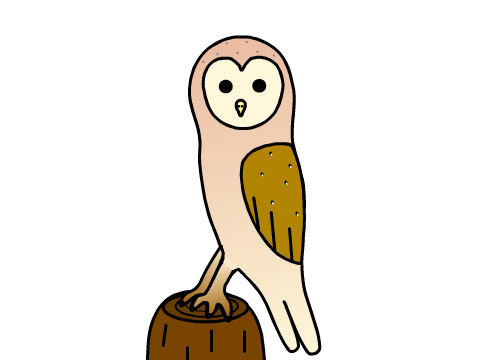 Yay, a Barn Owl