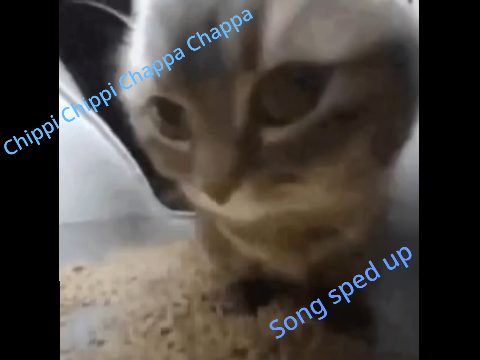 Chippi Chippi Chappa Chappa song Sped up