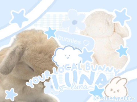 ʚ ꒰❄️꒱ bce for luna ♡₊ ˚⊹ ⋆｡