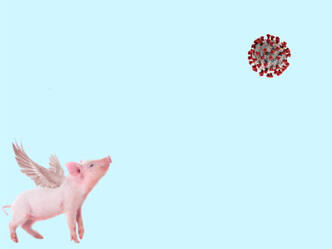 FLYING PIG SIMULATOR