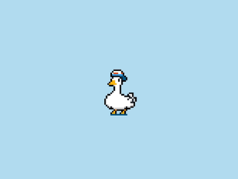 pato duck