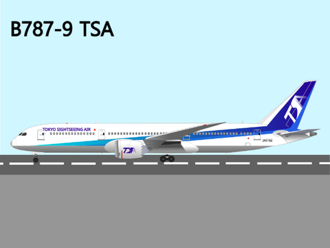 東京観光エアB787-9