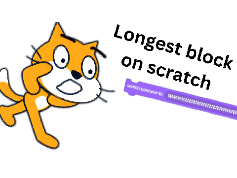 longest block on scratch
